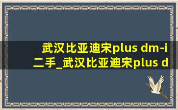 武汉比亚迪宋plus dm-i二手_武汉比亚迪宋plus dm-i